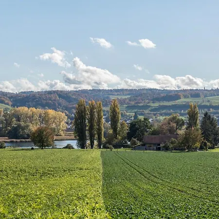 Gebhart * אוהנינגן